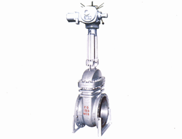 Pound grade electric gate valve